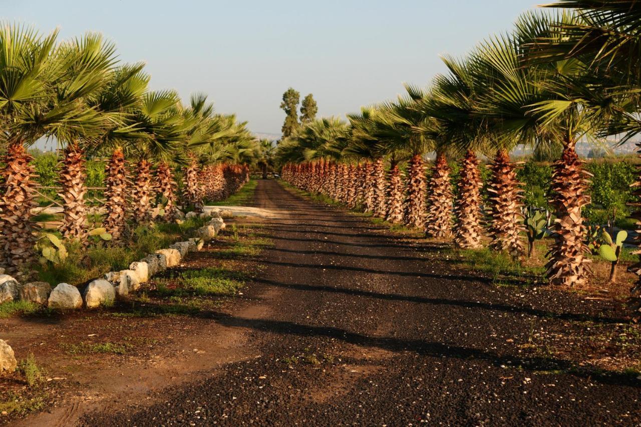 Agriturismo Papyrus シラクーサ エクステリア 写真