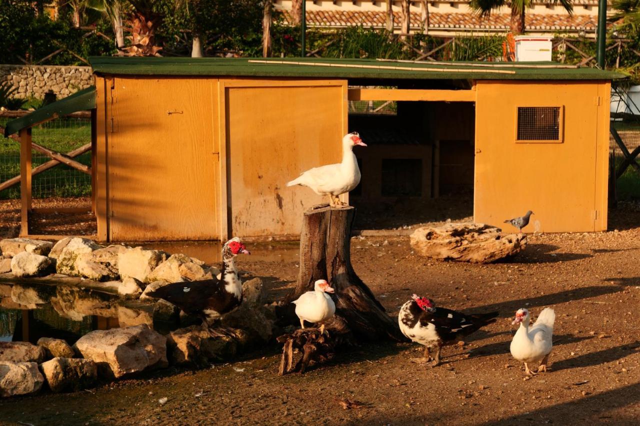 Agriturismo Papyrus シラクーサ エクステリア 写真